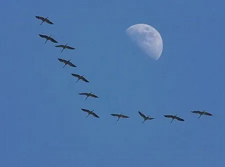 Casa vacanze Traditional Viking House Near Rageleje