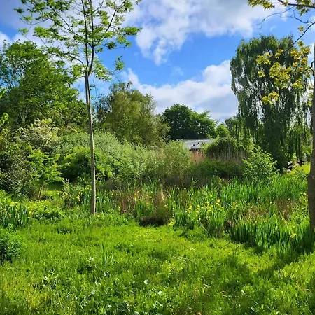 Hébergement de vacances Traditional Viking House Near Rageleje Græsted